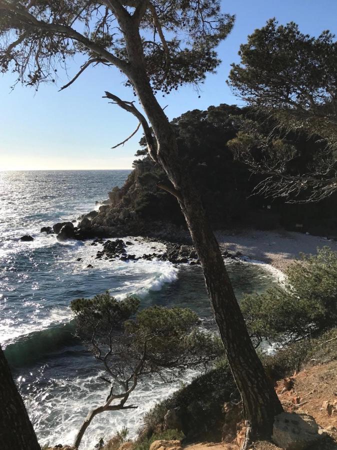 Villa Lucienne Bandol , T2 4 Etoiles Avec Garage, Dans Les Calanques 外观 照片