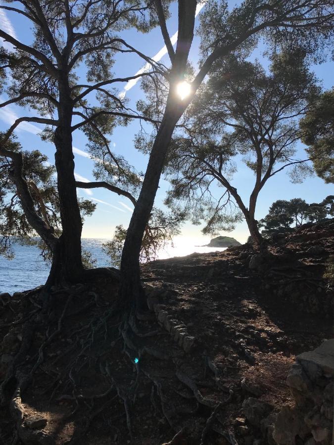 Villa Lucienne Bandol , T2 4 Etoiles Avec Garage, Dans Les Calanques 外观 照片